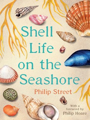cover image of Shell Life on the Seashore